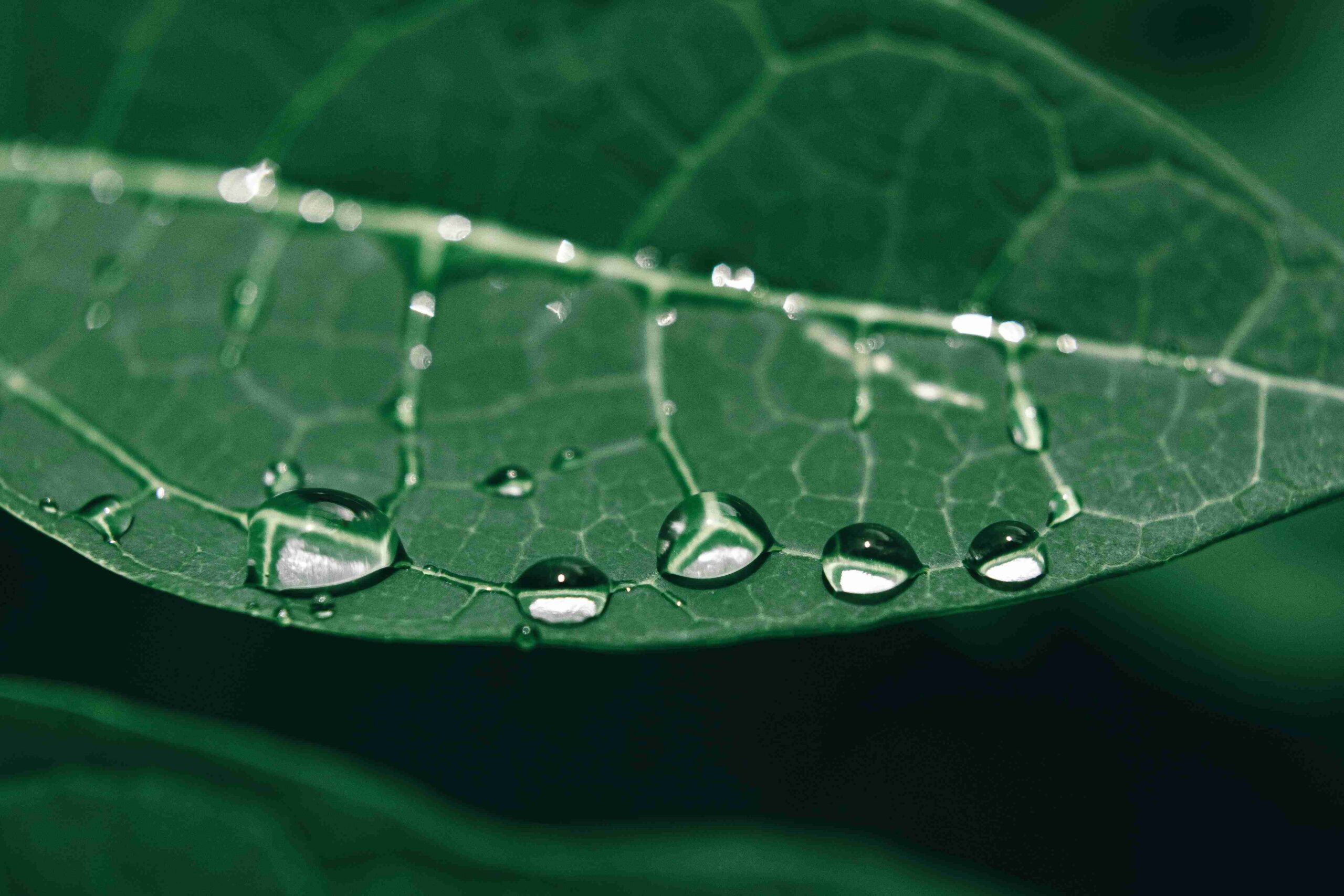 Stop al greenwashing: dal 27 settembre in vigore le sanzioni del D.Lgs. 30/2026